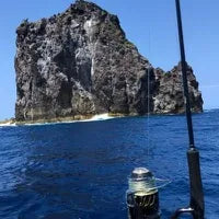 釣り好き